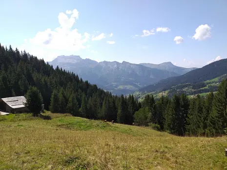 Photo of the mountainscape with a forest in the foreground.