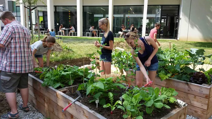 UniGardening, Garten, Universit?t Bamberg, Nachhaltigkeit, Hochbeete