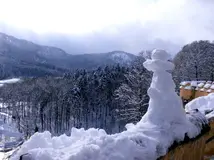 Photo of the snow piled up with forest and mountains in the background.